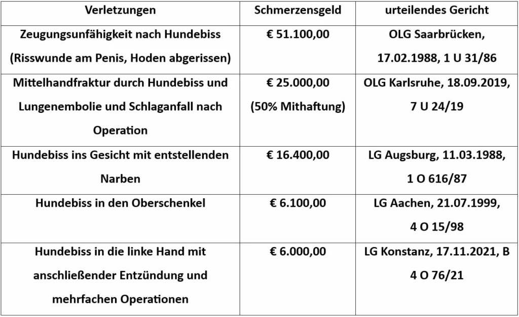 Rechtsanwalt für Schmerzensgeld nach Tierangriff